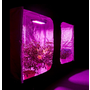 LED_grow_pestovani_1000W_6.png