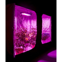 LED_grow_pestovani_2000W_5.png