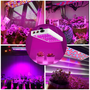 LED grow panel 81 LED 25W 3.png