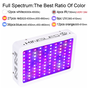 LED_grow_pestovani_1000W_2.png
