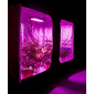 LED_grow_pestovani_3000W_5.png