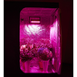 LED_grow_pestovani_600W_6.png